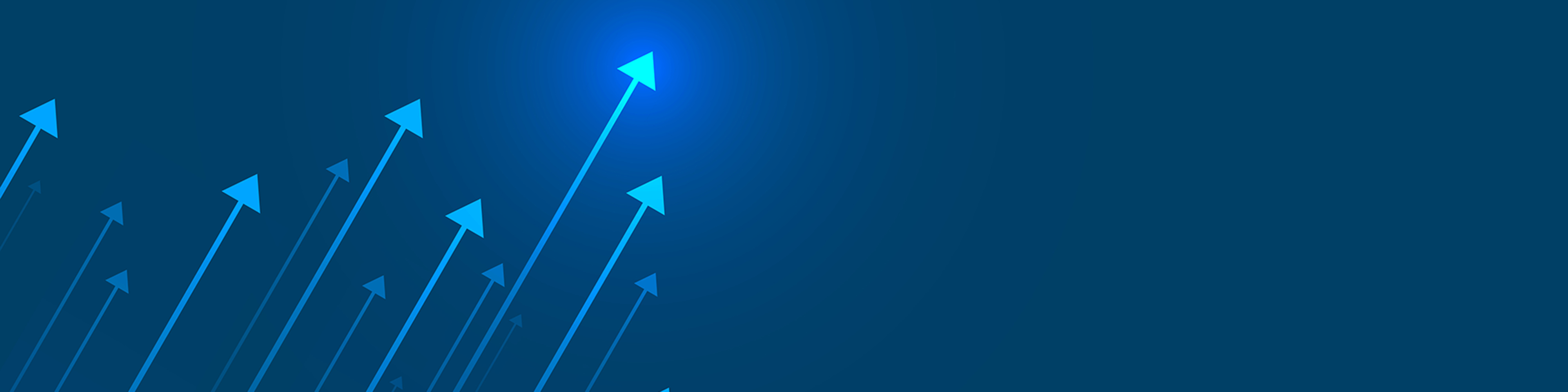 ip_roi_banner_4000x1000.jpg