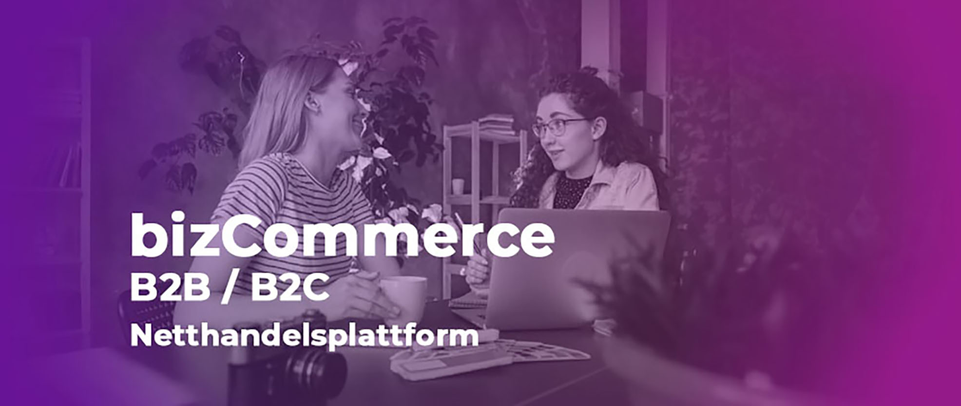 bizcommerce_banner3.jpg