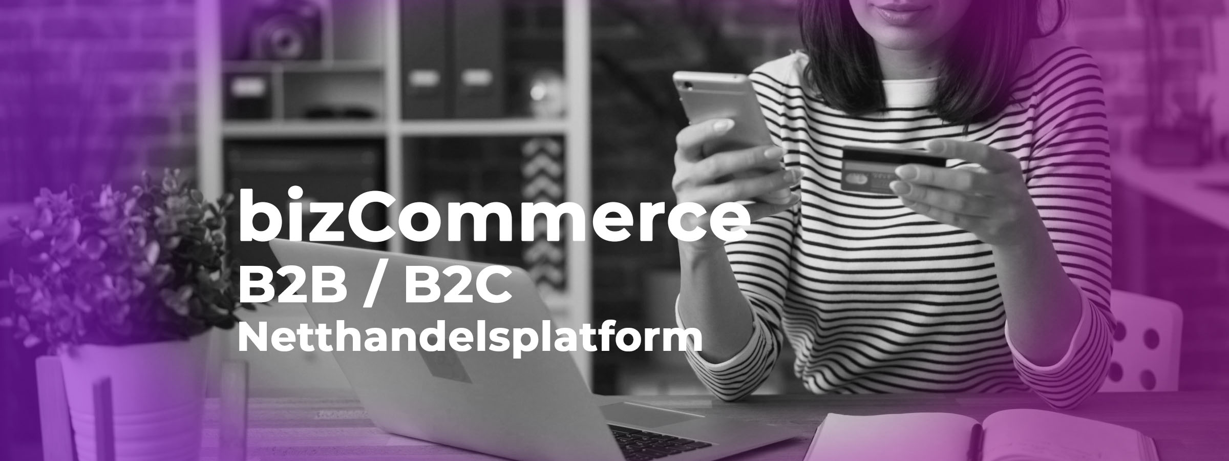 bizCommerce_banner4.jpg