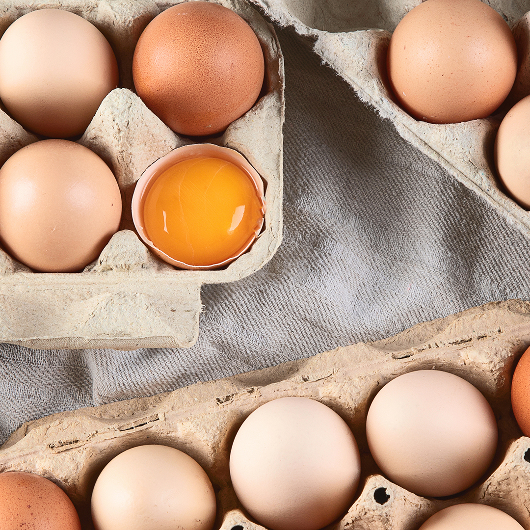 flemming-egg_1080x1080.jpg