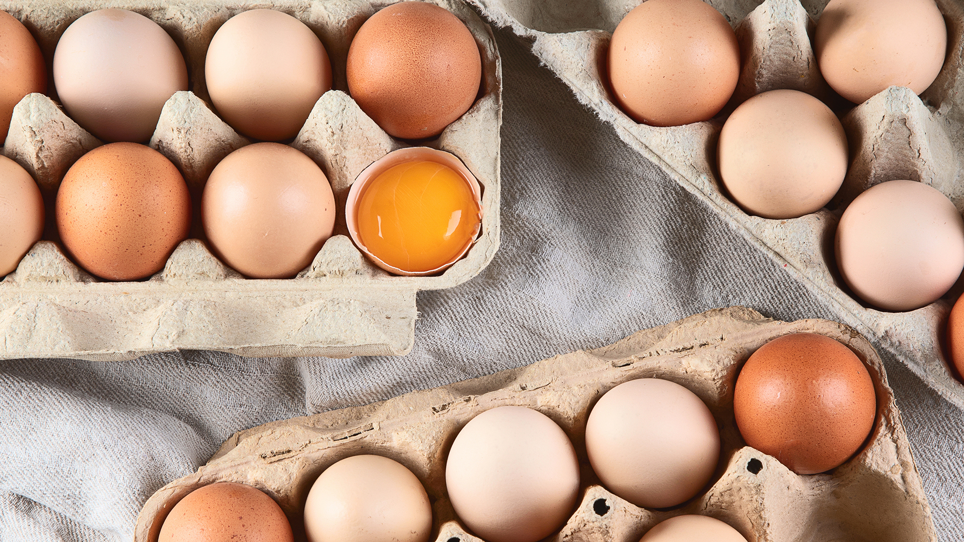 flemming-egg_1920x1080.jpg